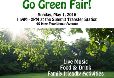 party at dump go green fair.png